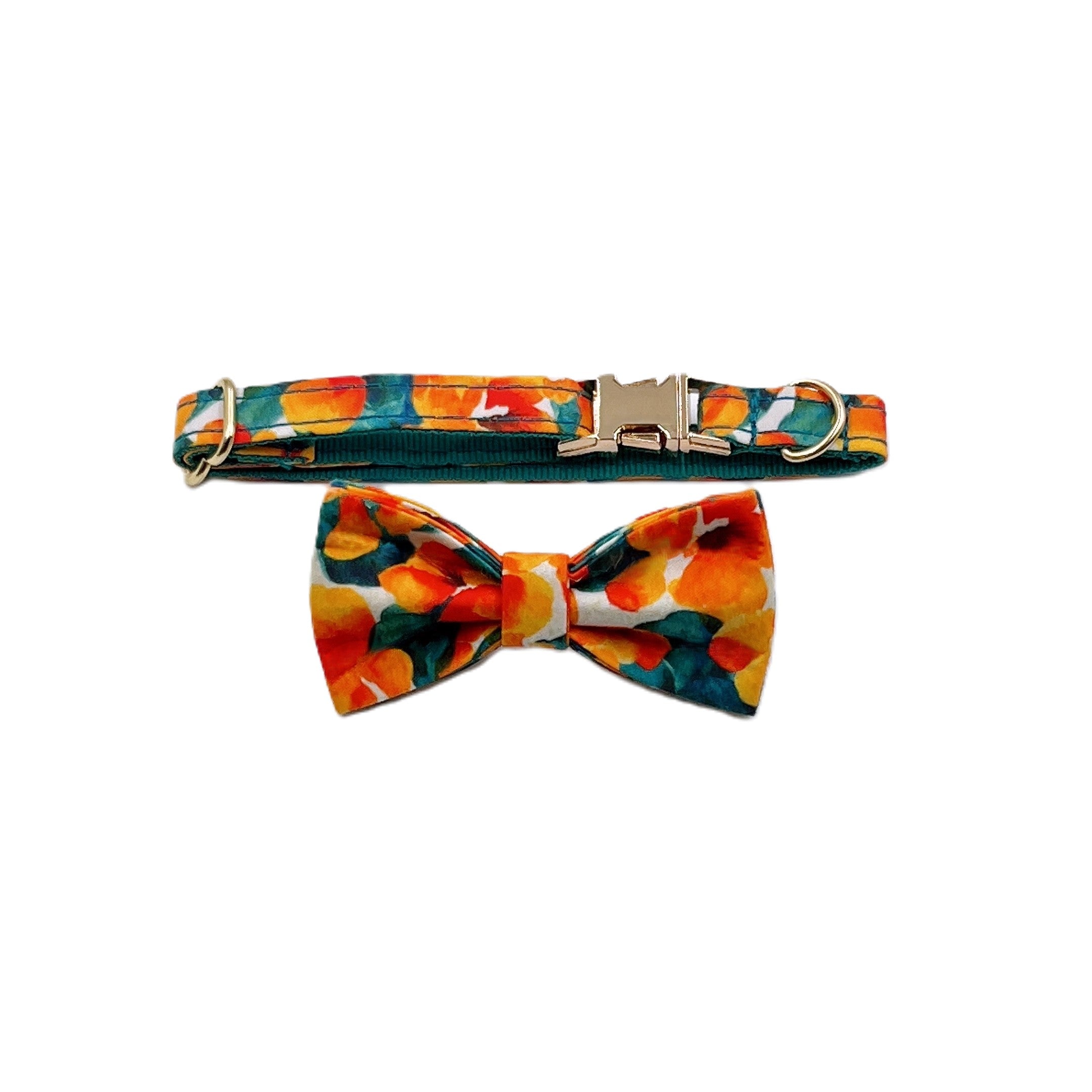 Autumn harvest Cat Collar