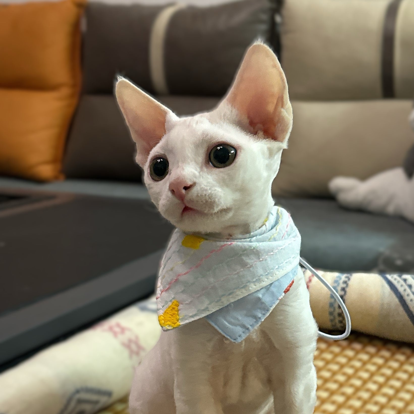 Playful Dots Cat Bandana