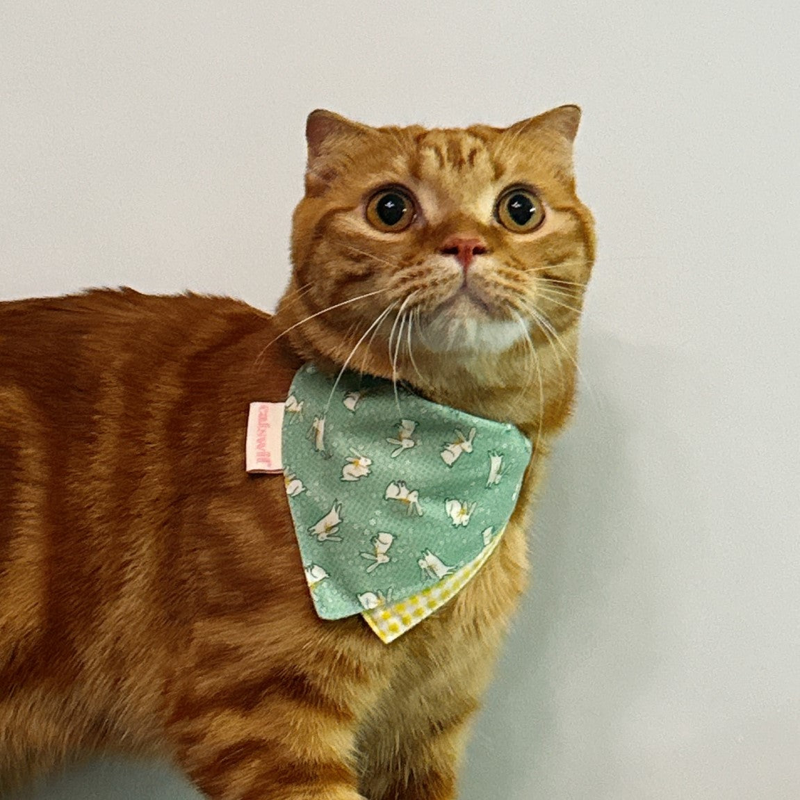 Grassland Rabbit Cat Bandana