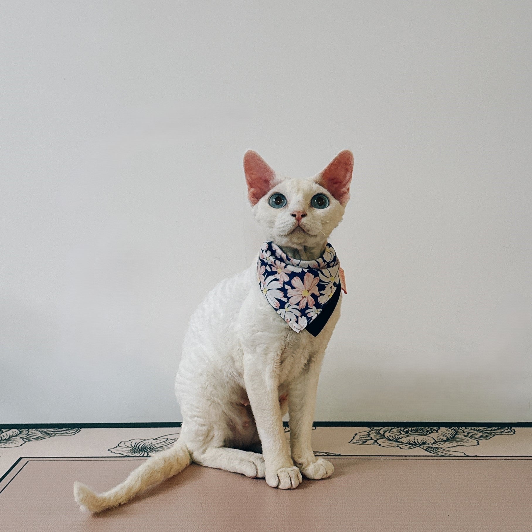 Pink Cosmos Cat Bandana