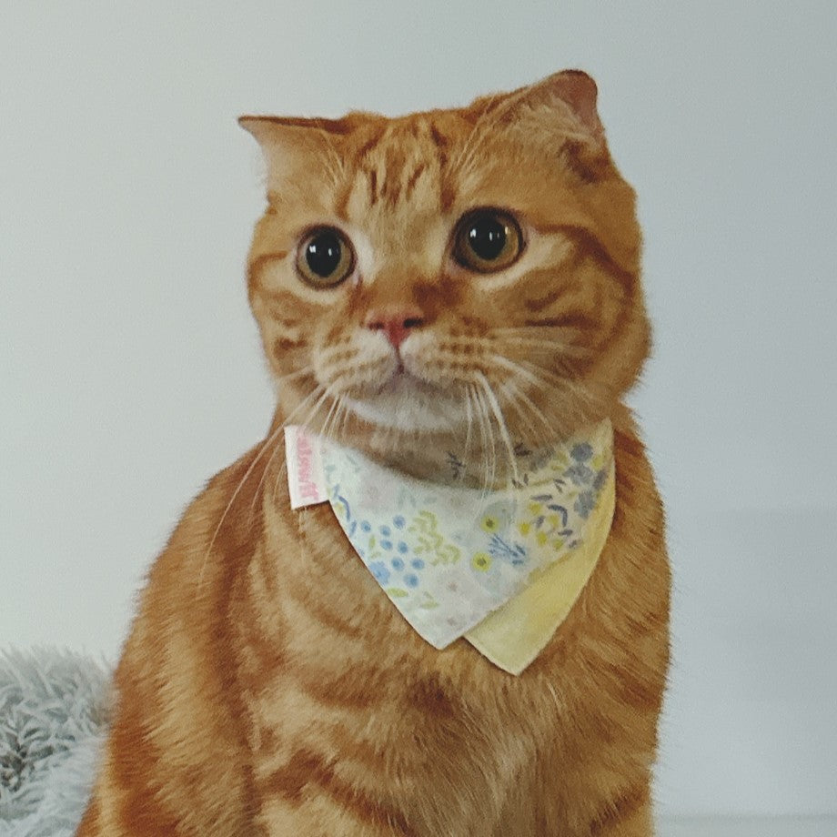 Creamy Graden Cat Bandana