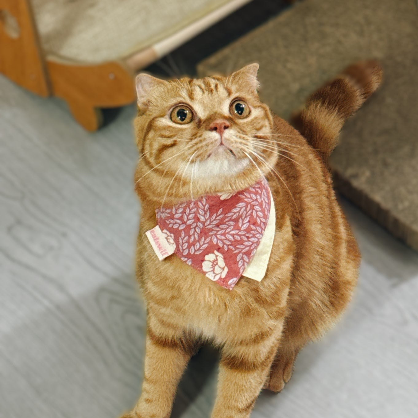 Rosy Rose Cat Bandana