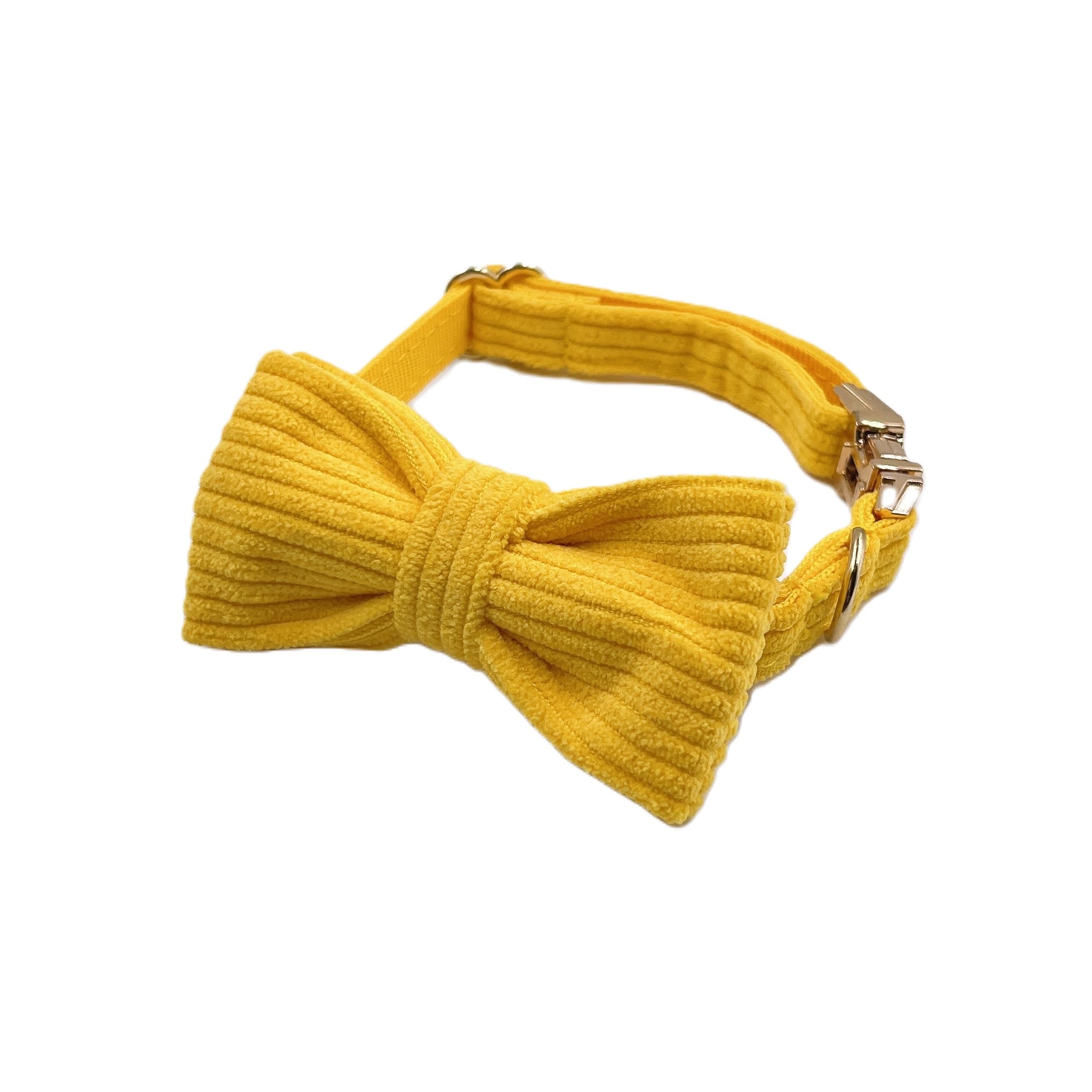 Yellow Cat Collar