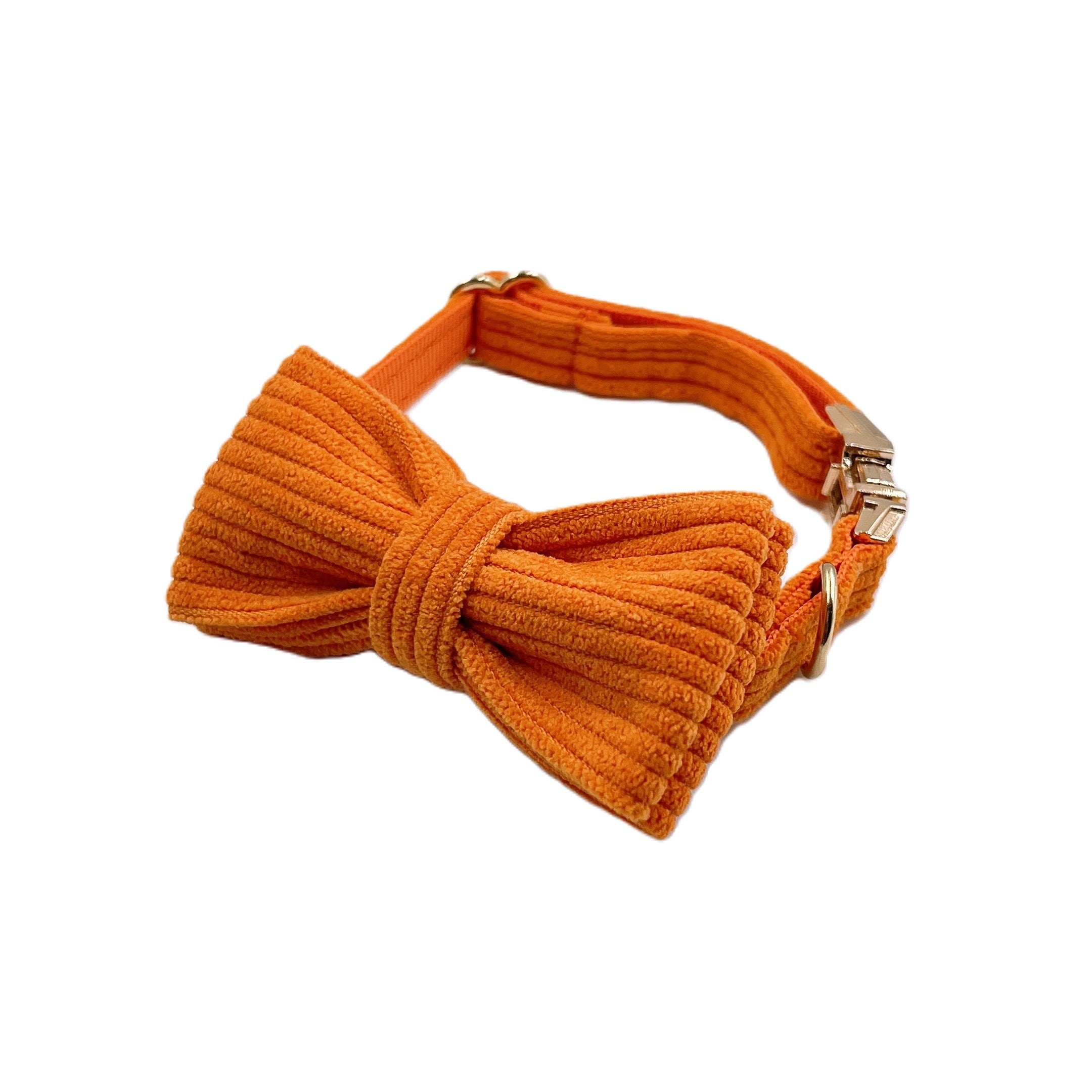 Orange Cat Collar