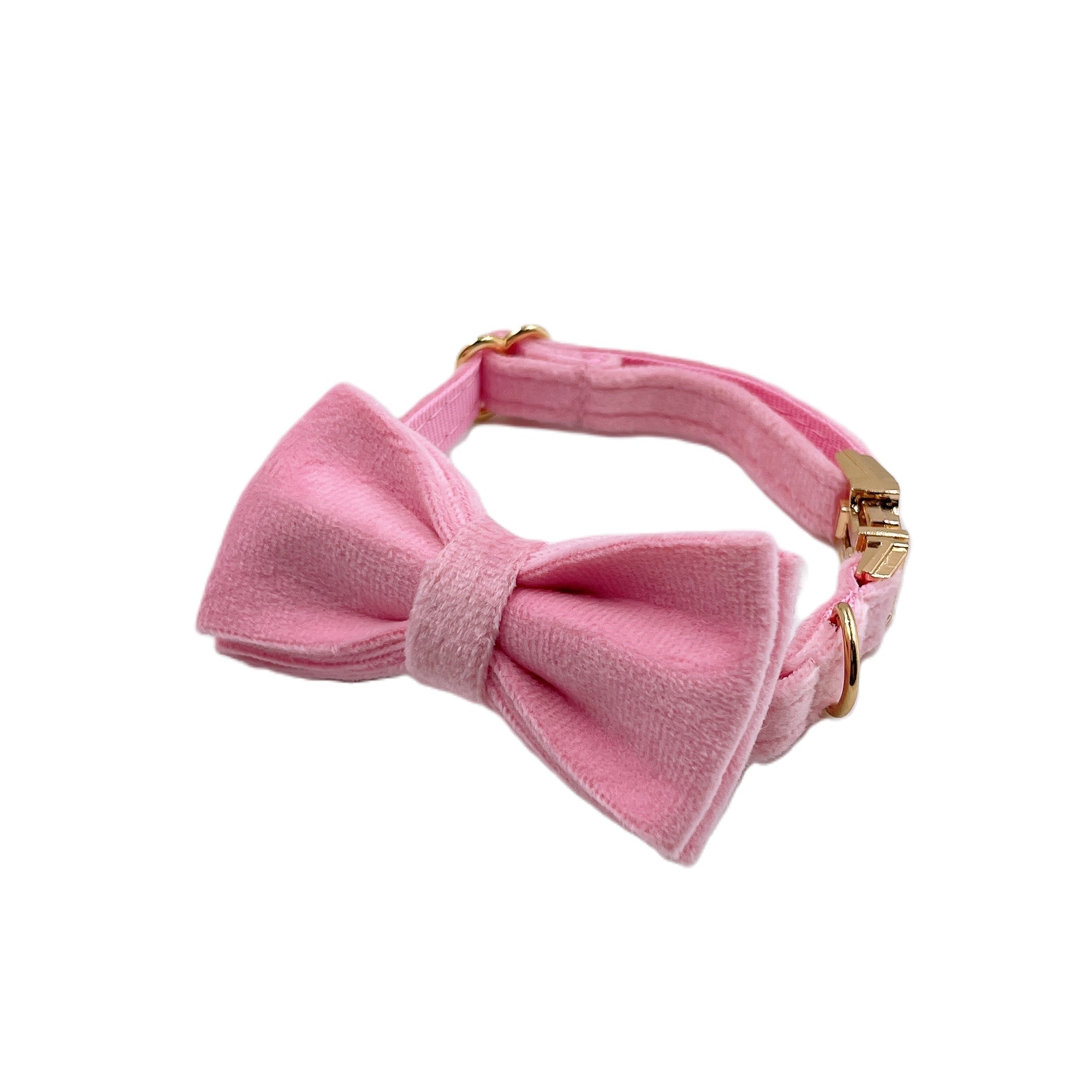 Pink Velvet Cat Collar