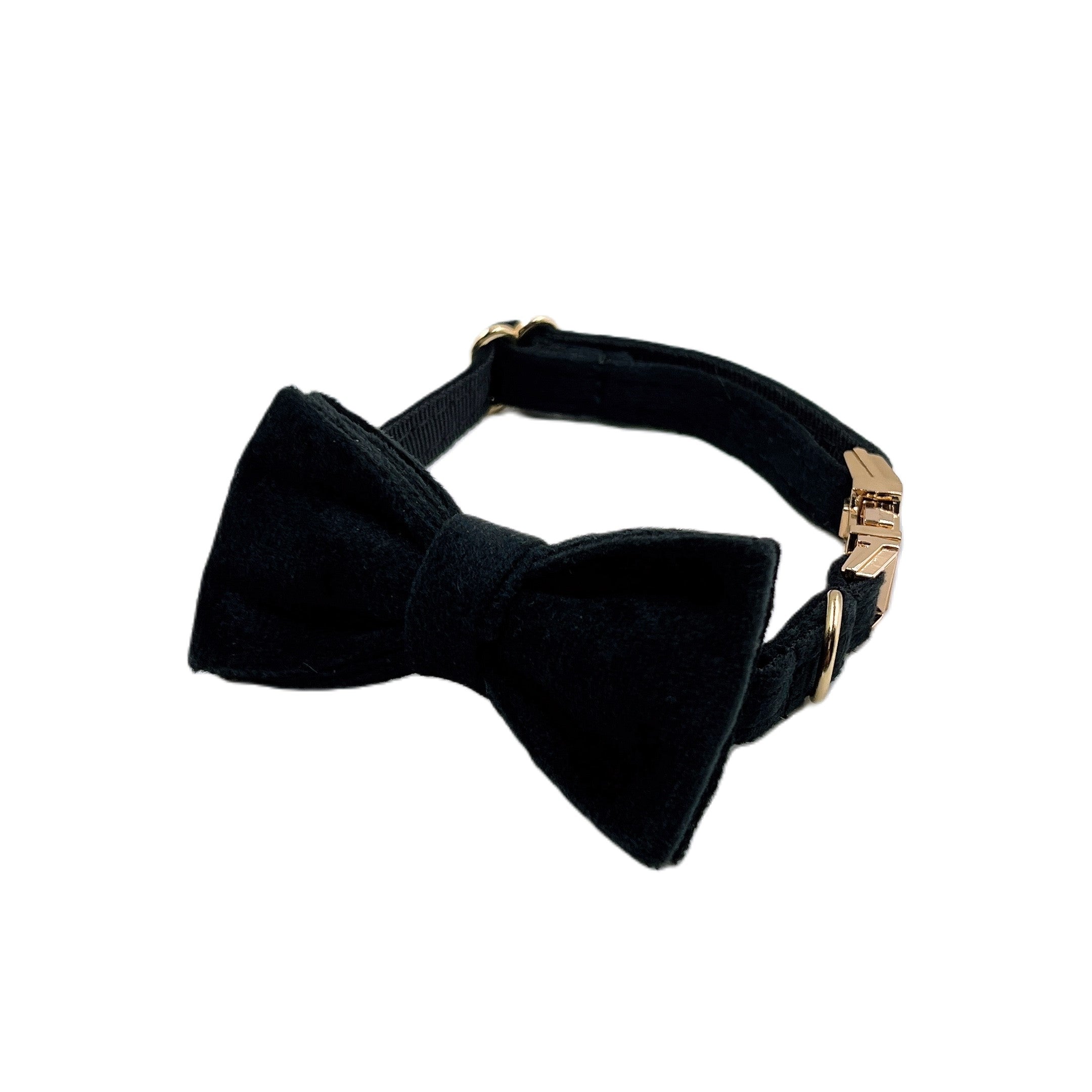 Black Velvet Cat Collar