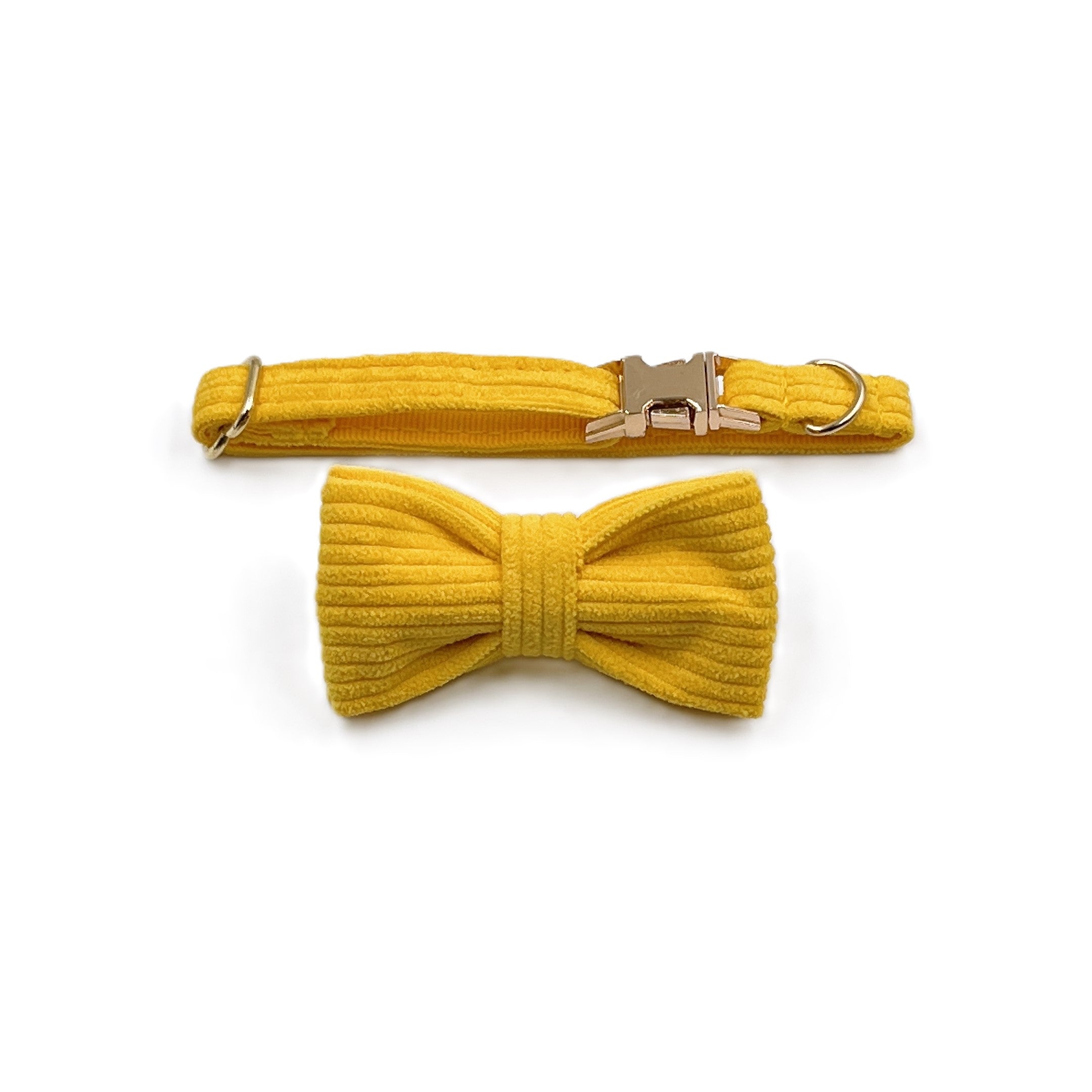 Yellow Cat Collar