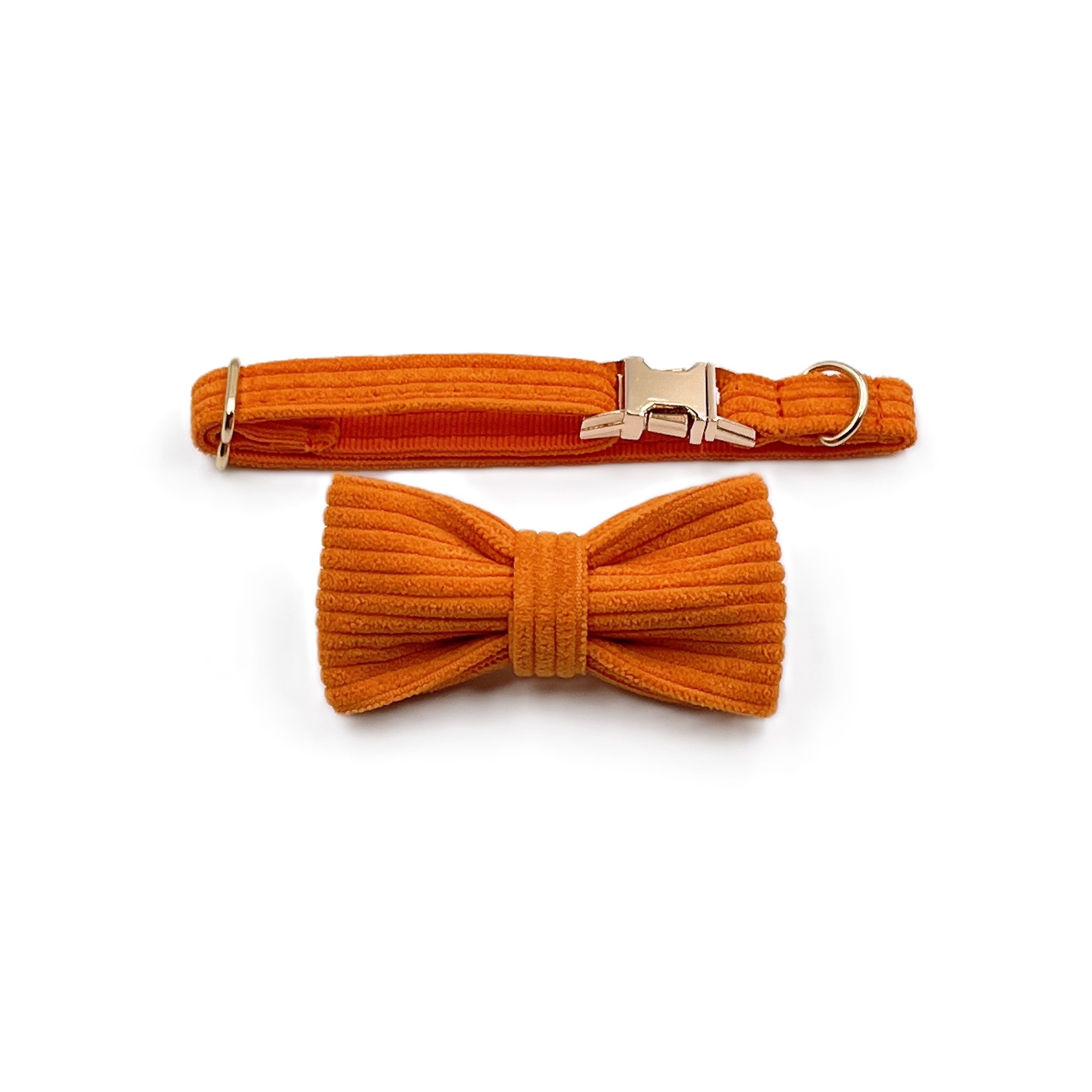 Orange Cat Collar