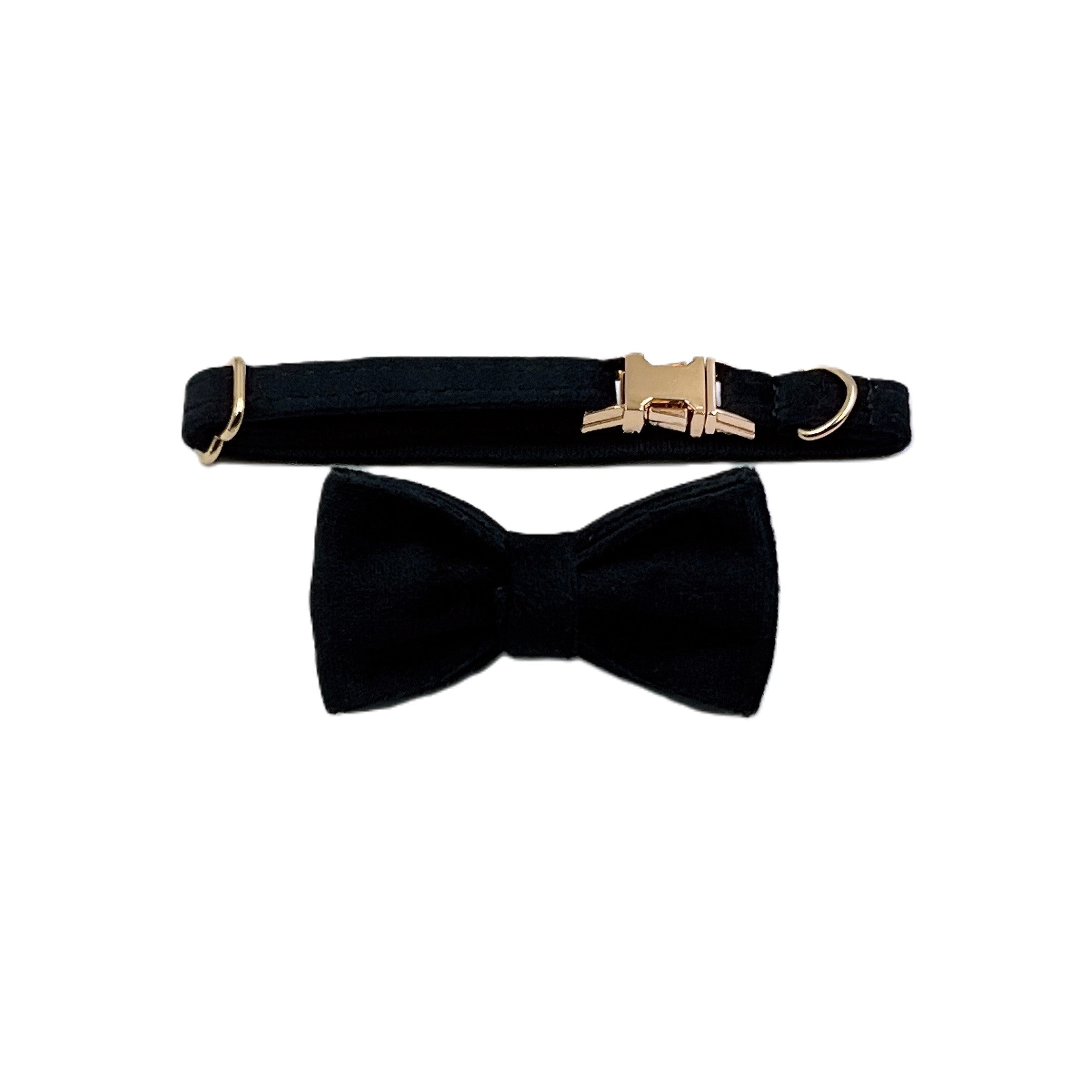 Black Velvet Cat Collar